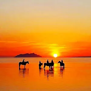 Bed & Breakfast Sunrise Stagnone